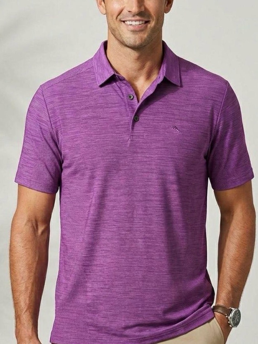 Tommy Bahama T222195 Palm Coast IslandZone Polo Heatherd River Grape LG NWOT? EC